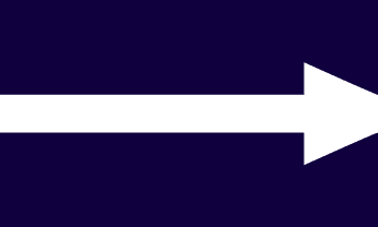 Stonewall Young Futures logo